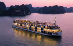هتل ایندوچین کروز هالونگ ویتنام Indochine Cruise Lan Ha Bay Powered by ASTON Ha Long Hotel
