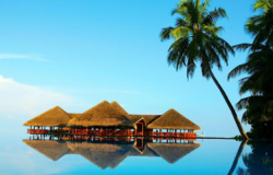 هتل مدهوفوشی آیلند ریزورت مالدیو Medhufushi Island Resort Maldives