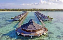 هتل سان ایسلند ریزورت مالدیو Sun Island Resort & Spa Maldives