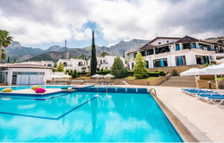 هتل اولیو تری قبرس The Olive Tree Hotel Cyprus