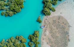 جنگل حرا (Hara Mangrove Forests)